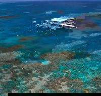 Quicksilver Outer Great Barrier Reef Snorkel Cruise from Port Douglas - Tweed Heads Accommodation
