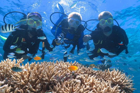Quicksilver Outer Great Barrier Reef Snorkel Cruise From Port Douglas - Tweed Heads Accommodation 6