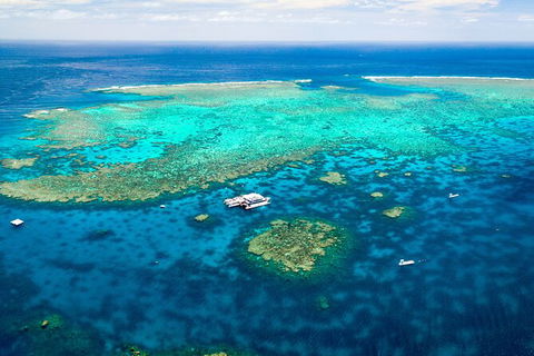 Quicksilver Outer Great Barrier Reef Snorkel Cruise From Port Douglas - Tweed Heads Accommodation 5