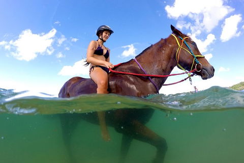 Horse Swimming Ride From Rainbow Beach - Tweed Heads Accommodation 1