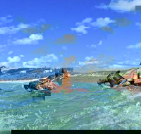 Horse Swimming Ride from Rainbow Beach - Tweed Heads Accommodation