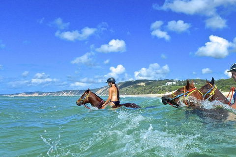 Horse Swimming Ride From Rainbow Beach - Tweed Heads Accommodation 0