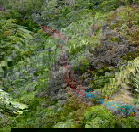 Kuranda Scenic Railway Day Trip from Port Douglas - Tweed Heads Accommodation