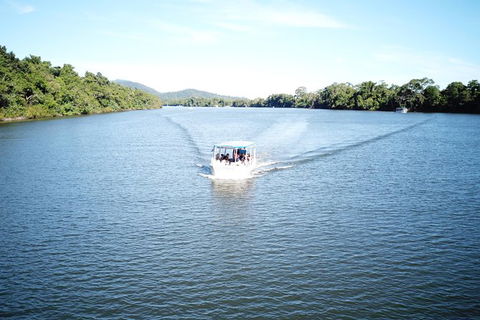 1-Hour Daintree River Wildlife Cruise - Tweed Heads Accommodation 9