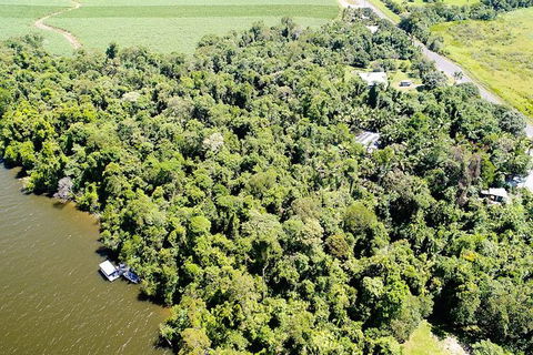 1-Hour Daintree River Wildlife Cruise - Tweed Heads Accommodation 5
