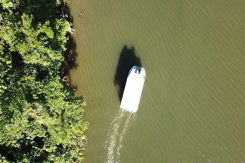1-Hour Daintree River Wildlife Cruise - Tweed Heads Accommodation 3