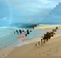Rainbow Beach Horse Ride - Tweed Heads Accommodation