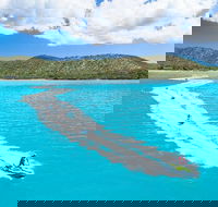 Whitsundays Jet Ski Tour