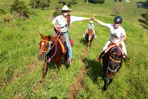 Country Day Ride From Mt Goomboorian With Rainbow Beach Horse Rides - Tweed Heads Accommodation 0