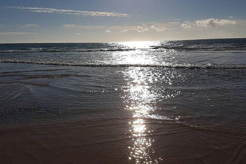 Land Based Game Fishing - Tweed Heads Accommodation 0