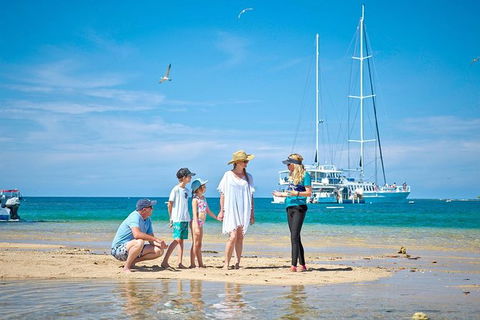 Wavedancer Low Isles Great Barrier Reef Sailing Cruise From Palm Cove - Tweed Heads Accommodation 3