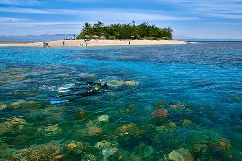 Wavedancer Low Isles Great Barrier Reef Sailing Cruise From Palm Cove - Tweed Heads Accommodation 9
