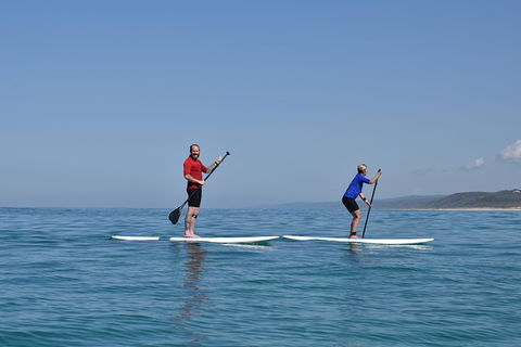 Stand Up Paddle Double Island Lesson - Tweed Heads Accommodation 1