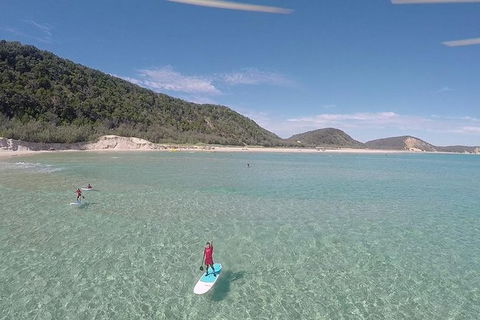 Stand Up Paddle Double Island Lesson - Tweed Heads Accommodation 11