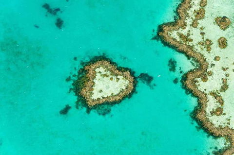 Whitsundays Seaplane Tours - Tweed Heads Accommodation 3