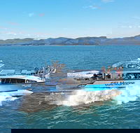 Whitsunday Island Boat Adventure
