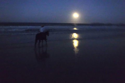 Full Moon Horse Ride At Rainbow Beach - Tweed Heads Accommodation 0