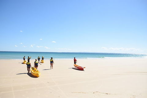 Half-Day Kayak With Dolphins And 4WD Beach Drive From Rainbow Beach - Tweed Heads Accommodation 10