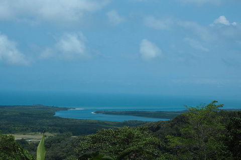 Cape Tribulation, Daintree Rainforest And Wildlife Tour - Tweed Heads Accommodation 7