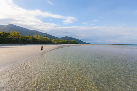 Cape Tribulation, Daintree Rainforest And Wildlife Tour - Tweed Heads Accommodation 6
