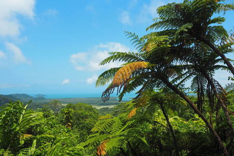 Cape Tribulation, Daintree Rainforest And Wildlife Tour - Tweed Heads Accommodation 5