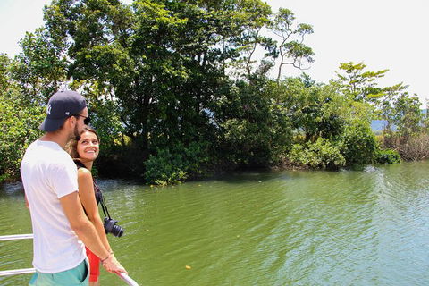 Cape Tribulation, Daintree Rainforest And Wildlife Tour - Tweed Heads Accommodation 8