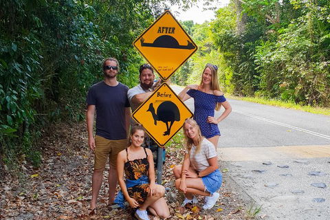 Cape Tribulation, Daintree Rainforest And Wildlife Tour - Tweed Heads Accommodation 10