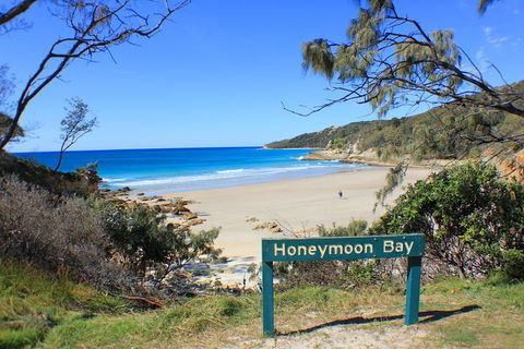 Fraser & Moreton Island 3-Day Scenic 4WD ECO Tour From Brisbane Or Gold Coast - Tweed Heads Accommodation 0