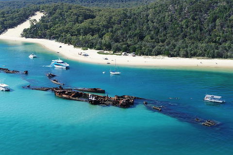 All Inclusive Dolphin And Tangalooma Wrecks Cruise Departing Gold Coast - Tweed Heads Accommodation 0