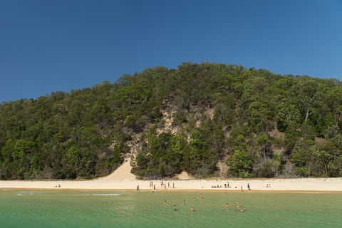 All Inclusive Dolphin And Tangalooma Wrecks Cruise Departing Gold Coast - Tweed Heads Accommodation 3
