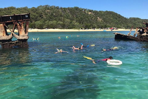 All Inclusive Dolphin And Tangalooma Wrecks Cruise Departing Gold Coast - Tweed Heads Accommodation 9