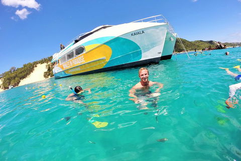 All Inclusive Dolphin And Tangalooma Wrecks Cruise Departing Gold Coast - Tweed Heads Accommodation 2