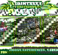 Daintree Atttractions Pass The Best of the Daintree in a Day - Tweed Heads Accommodation