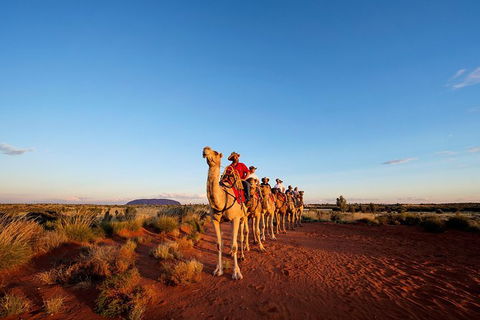 Uluru Small-Group Tour By Camel At Sunrise Or Sunset - Tweed Heads Accommodation 0