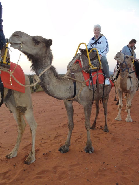 Uluru Small-Group Tour By Camel At Sunrise Or Sunset - Tweed Heads Accommodation 2