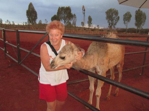Uluru Small-Group Tour By Camel At Sunrise Or Sunset - Tweed Heads Accommodation 18