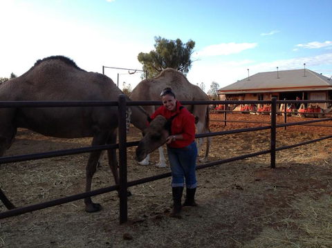 Uluru Small-Group Tour By Camel At Sunrise Or Sunset - Tweed Heads Accommodation 21