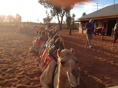 Uluru Small-Group Tour By Camel At Sunrise Or Sunset - Tweed Heads Accommodation 22