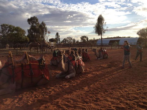 Uluru Small-Group Tour By Camel At Sunrise Or Sunset - Tweed Heads Accommodation 23