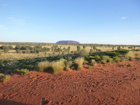 Uluru Small-Group Tour By Camel At Sunrise Or Sunset - Tweed Heads Accommodation 9