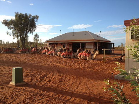 Uluru Small-Group Tour By Camel At Sunrise Or Sunset - Tweed Heads Accommodation 19