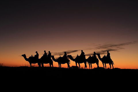 Uluru Small-Group Tour By Camel At Sunrise Or Sunset - Tweed Heads Accommodation 27