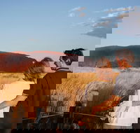 Uluru Ayers Rock Sunset with Outback Barbecue Dinner and Star Tour - Tweed Heads Accommodation