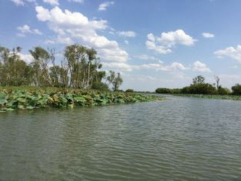 1 Day Corroboree Billabong Wetland Experience Including 2.5 Hour Cruise + Lunch - Tweed Heads Accommodation 4