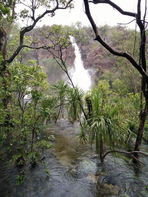 Small-Group Litchfield National Park Day Trip From Darwin - Tweed Heads Accommodation 6