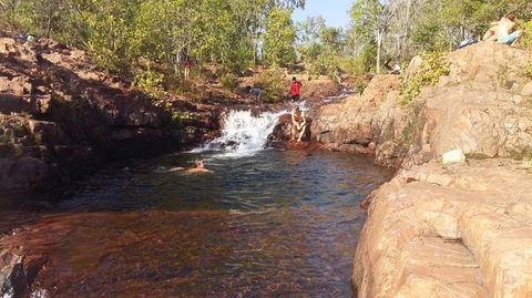 Small-Group Litchfield National Park Day Trip From Darwin - Tweed Heads Accommodation 12