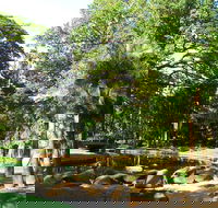 Darwin Afternoon Sightseeing Tour - Tweed Heads Accommodation