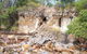 Bombing Of Darwin World War II Tour With Harbour Cruise - thumb 12