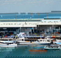 Darwin Harbour Bombing of Darwin Cruise - Tweed Heads Accommodation