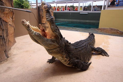 Darwin Hop-on Hop-off Bus Tour - Tweed Heads Accommodation 1